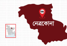 চুরি করতে দেখে ফেলায় মারধর, নারীসহ আহত ৪