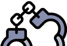 মিরপুরে ডিজে পার্টি থেকে ৩১ জন আটক