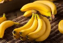 পুষ্টিকর খাবারের নামে শিশুরা পাচ্ছে নষ্ট কলা-রুটি