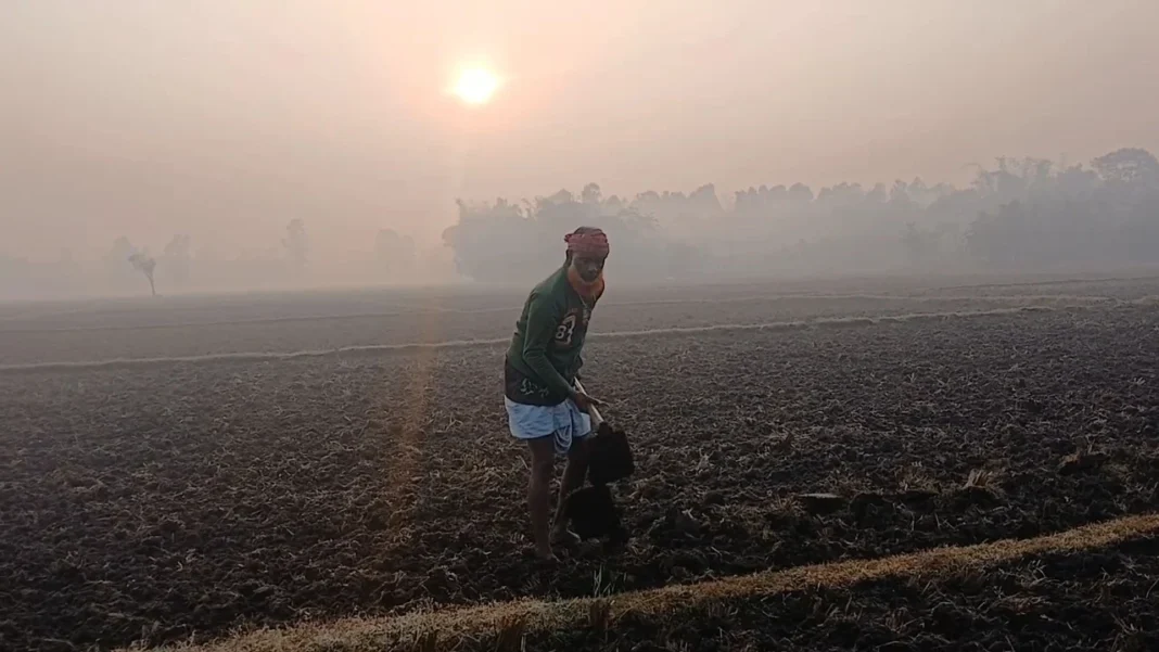 panchagarh-cold-pic-03-1765430452