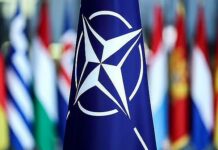 এক ট্রাম্পের পাল্লায় পড়ে ন্যাটো কি অস্তিত্ব হারাবে